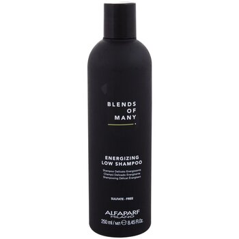 Blends of Many Energizing Low Shampoo (vypadávanie vlasov) - Energizujúci šampón